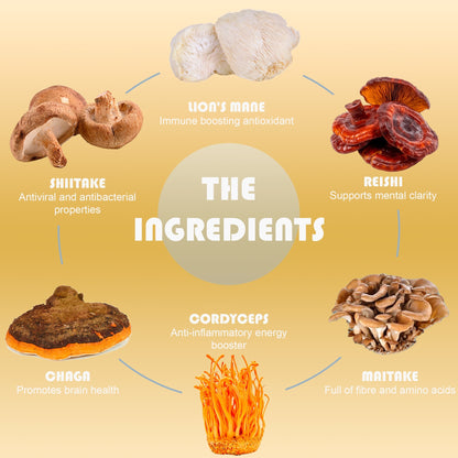 Lion's Mane - Brain Fog Solution